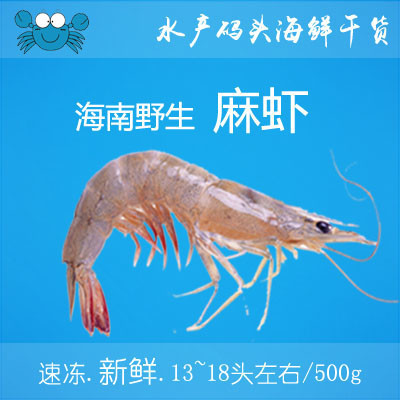探尋鮮味之源 水產(chǎn)碼頭野生麻蝦的滋味與情懷